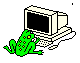 Frog on Computer